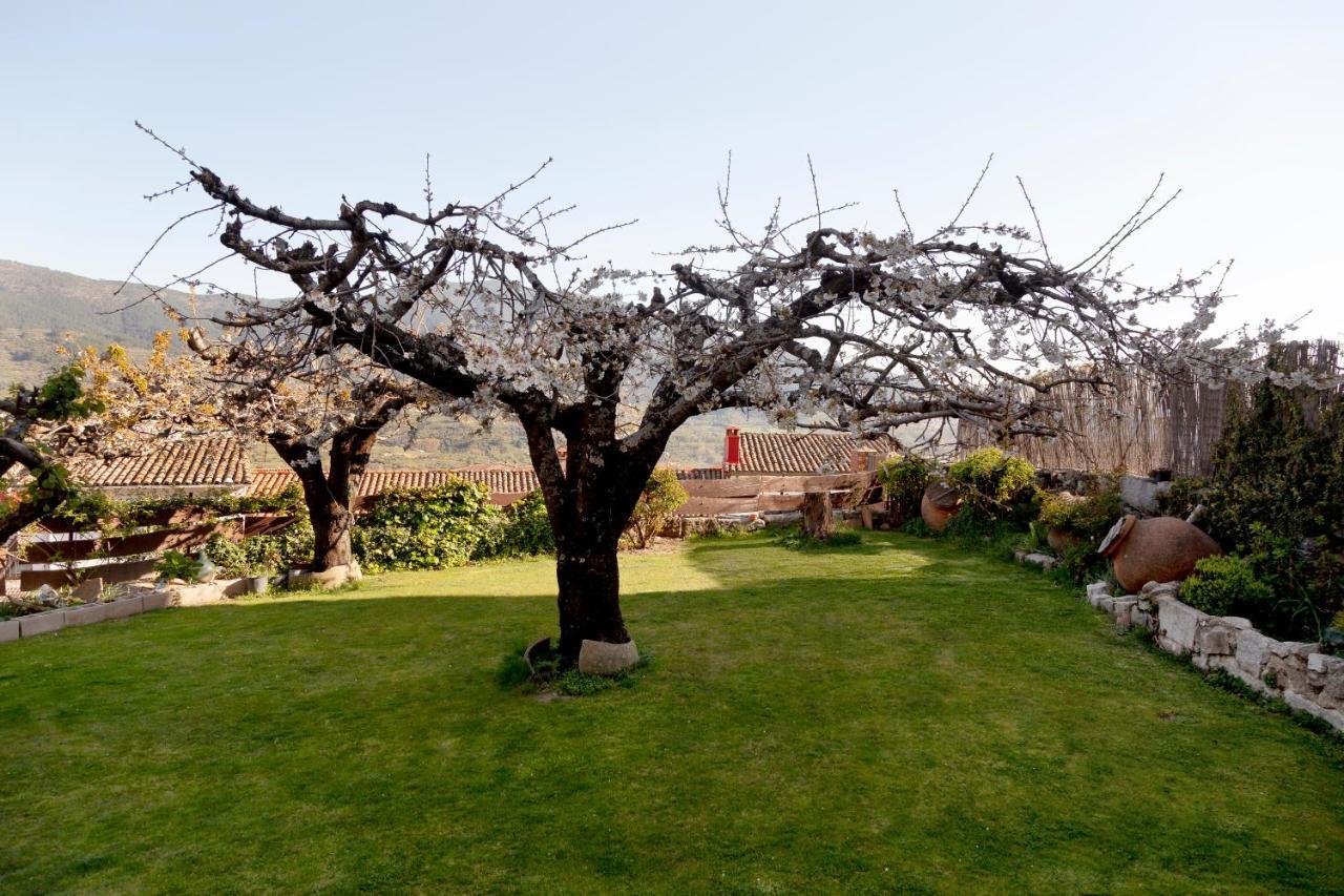 La Higuera Βίλα Villarejo del Valle Εξωτερικό φωτογραφία