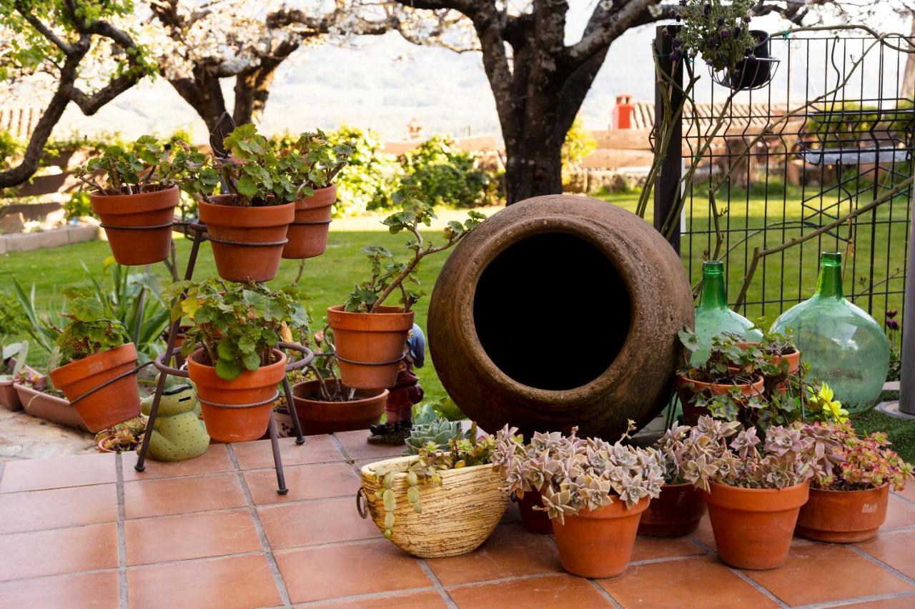 La Higuera Βίλα Villarejo del Valle Εξωτερικό φωτογραφία